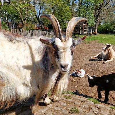 Kinderboerderij Hagerhof